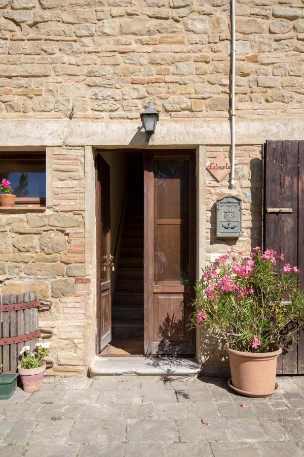 Agriturismo L'Esinante Cupramontana Exterior photo