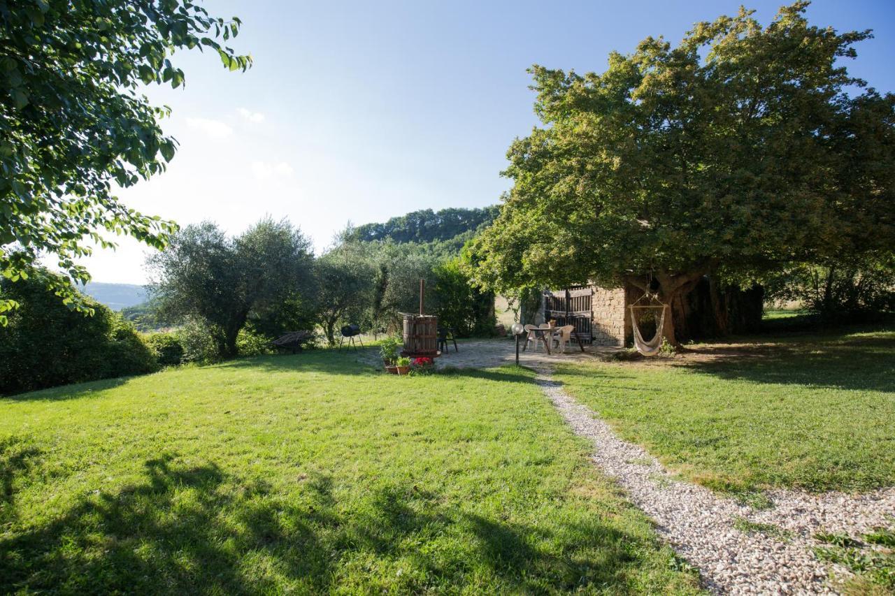 Agriturismo L'Esinante Cupramontana Exterior photo
